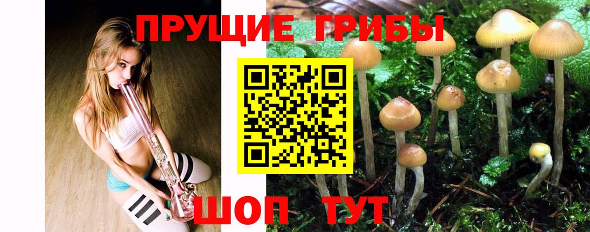 Псилоцибиновые грибы мицелий Симферополь